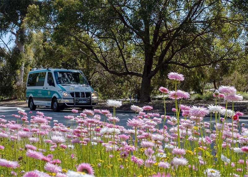 involve flowers